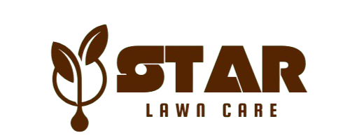 star lawn care fresno