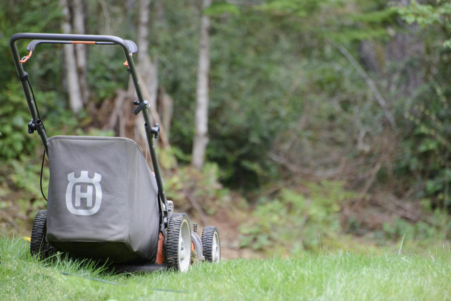 lawn care